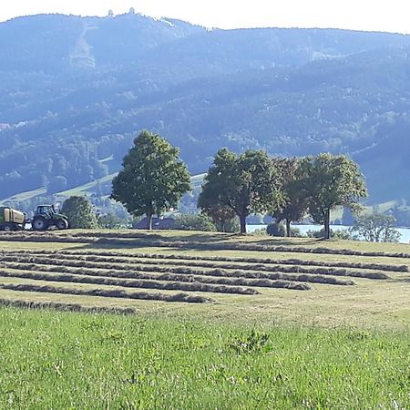 Hideaway Apartment Zell am Moos Bagian luar foto