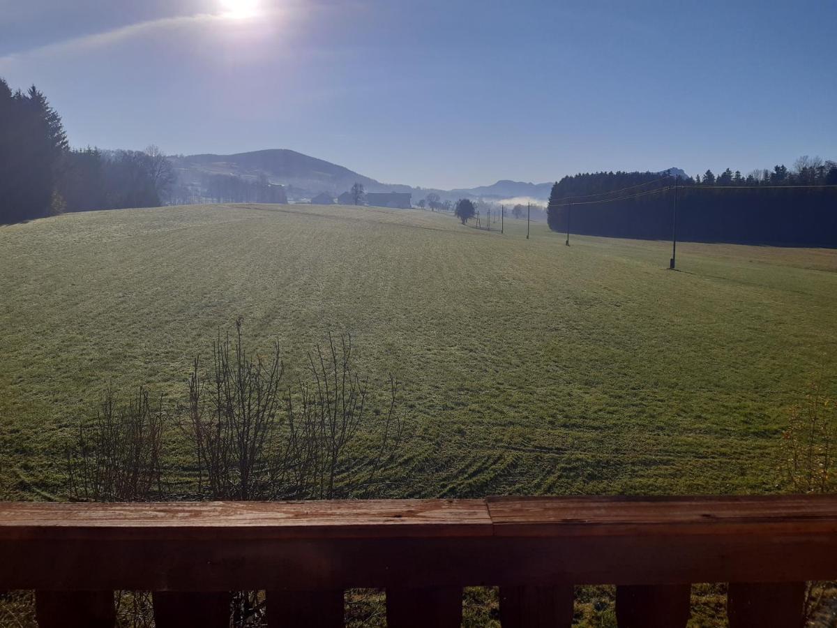 Hideaway Apartment Zell am Moos Bagian luar foto