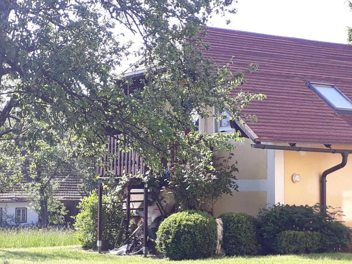 Hideaway Apartment Zell am Moos Bagian luar foto