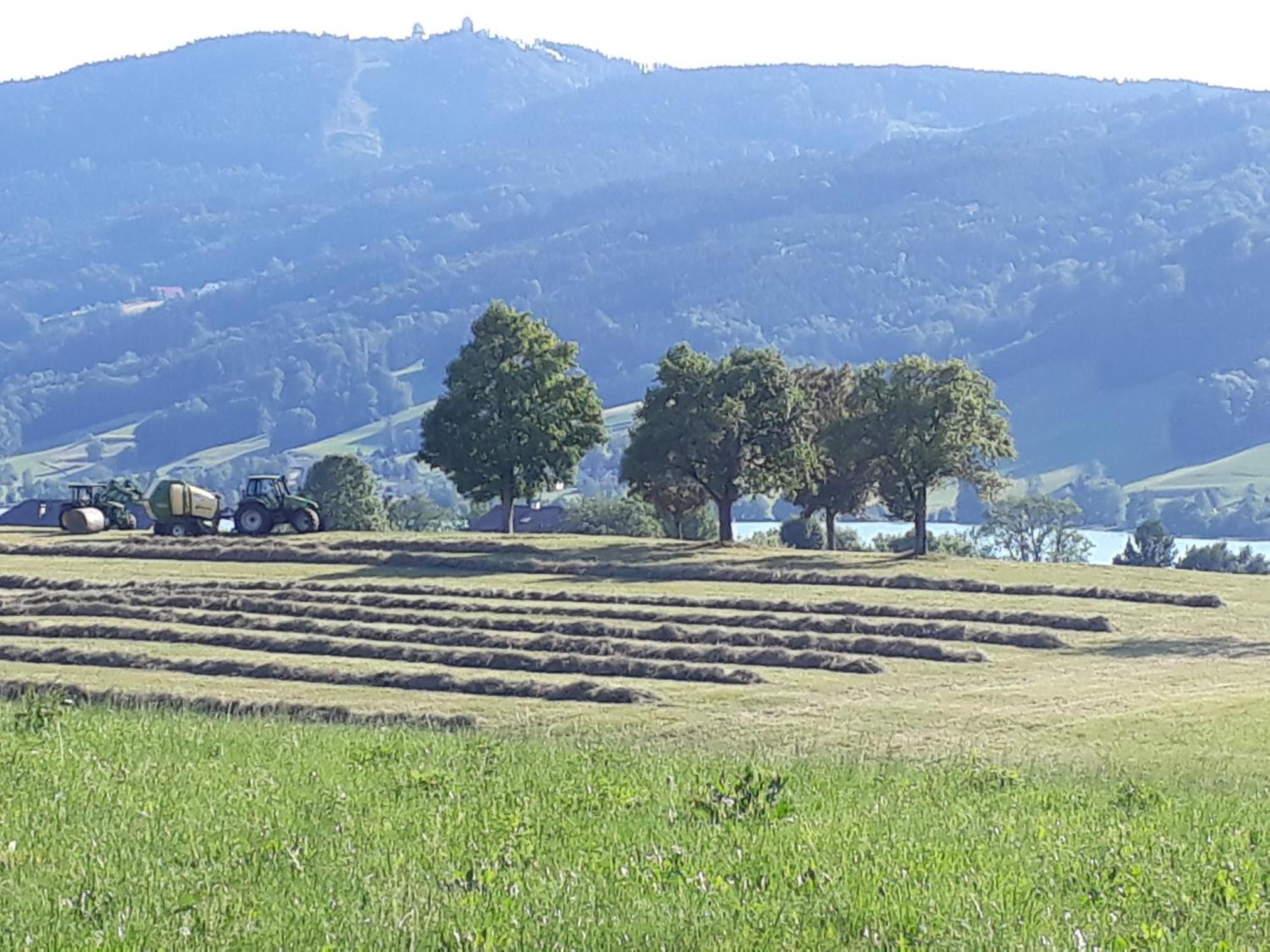 Hideaway Apartment Zell am Moos Bagian luar foto