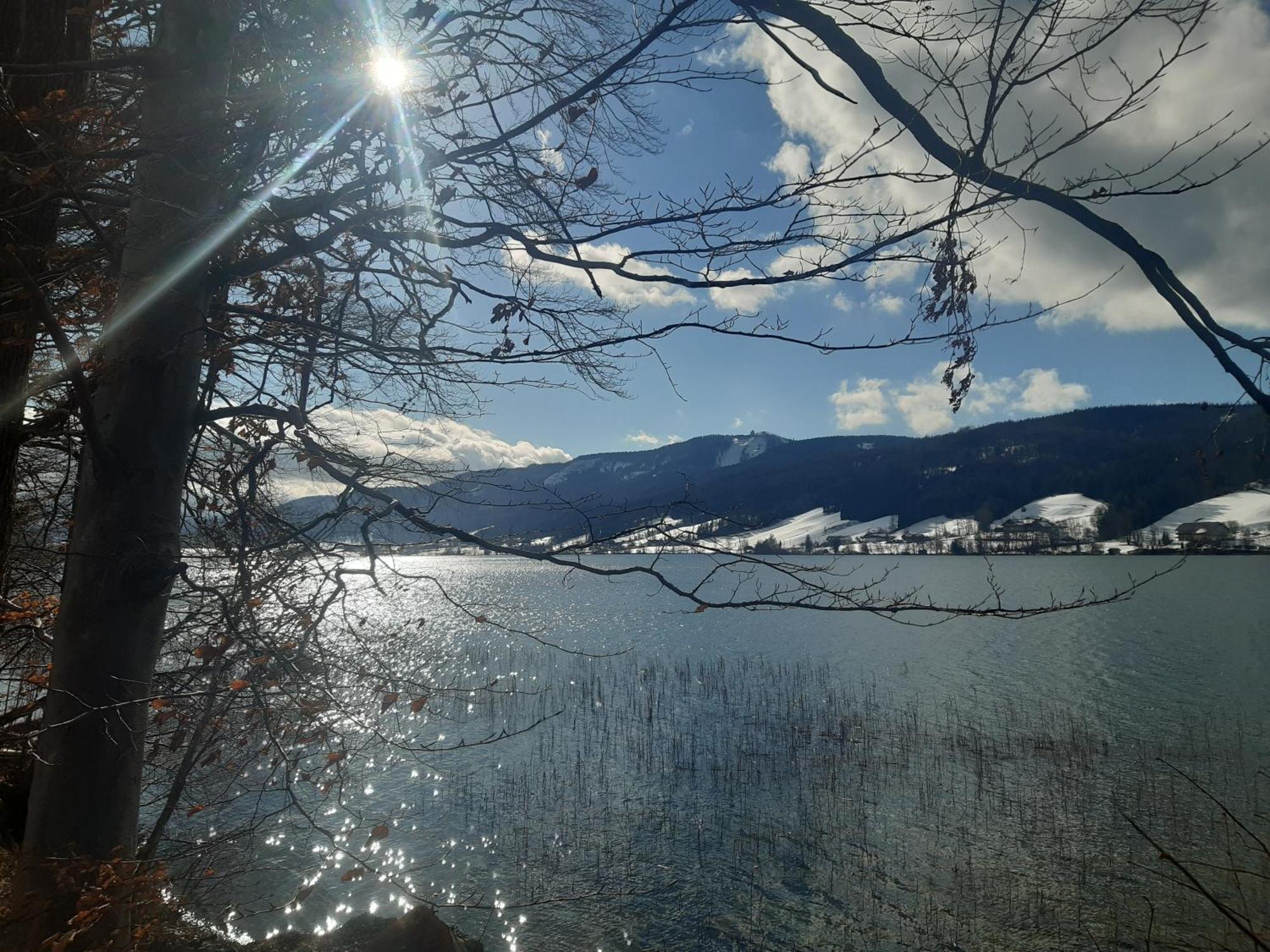Hideaway Apartment Zell am Moos Bagian luar foto